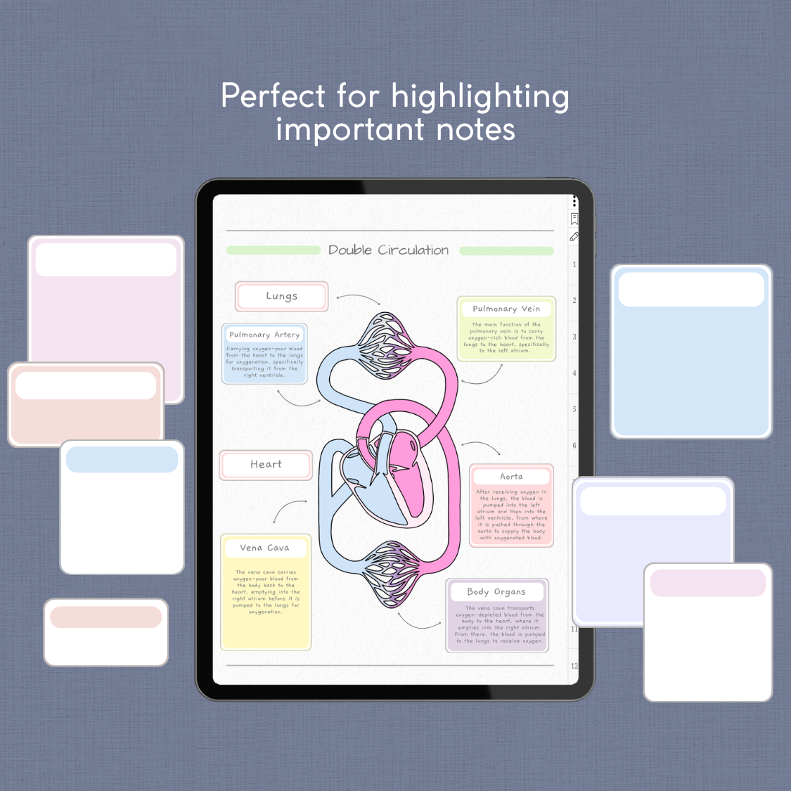 Med Student Digital Notebook